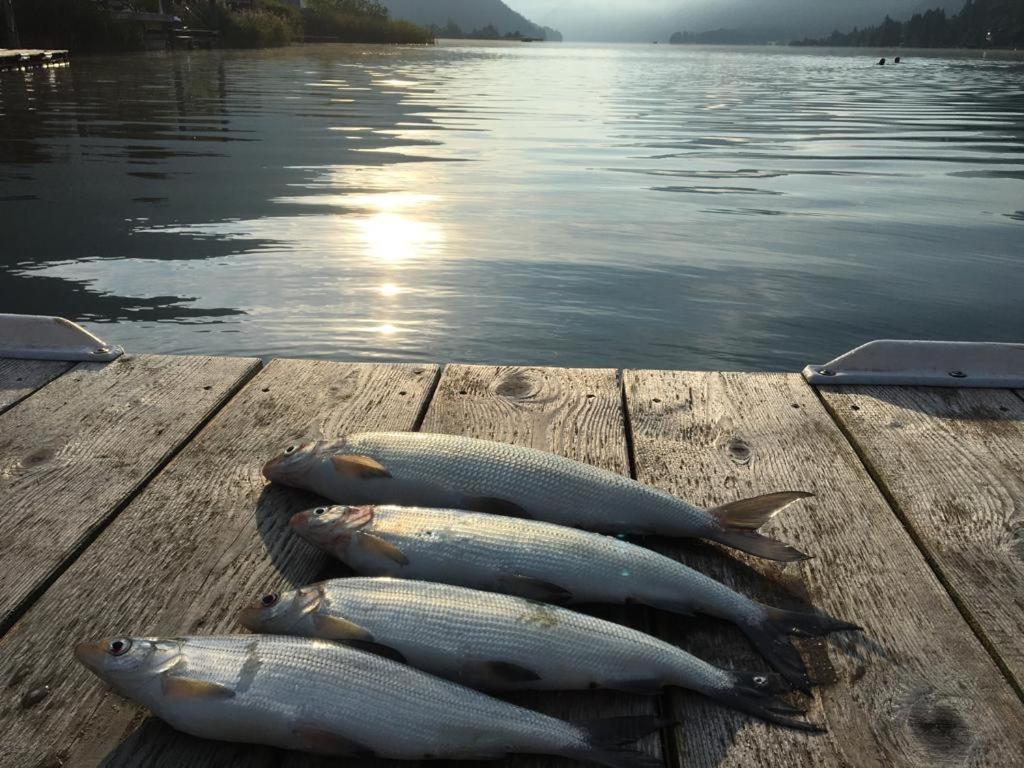 Ferienhof Hoffmann Ξενοδοχείο Weissensee Εξωτερικό φωτογραφία