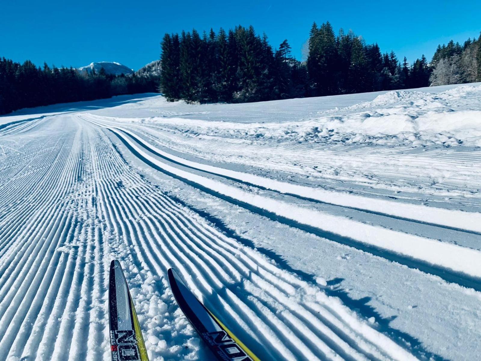 Ferienhof Hoffmann Ξενοδοχείο Weissensee Εξωτερικό φωτογραφία